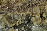 Lustrous Siderite Crystal Cluster on Quartz - Peru #173412-2